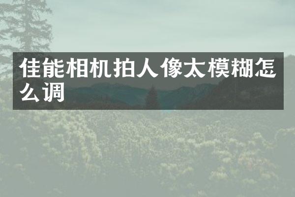 佳能相机拍人像太模糊怎么调