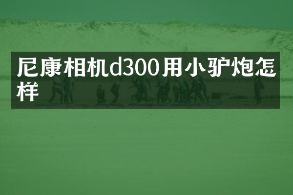尼康相机d300用小驴炮怎么样