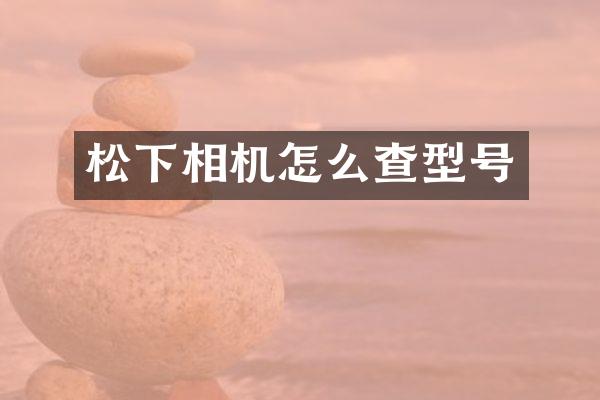 相机怎么查型号