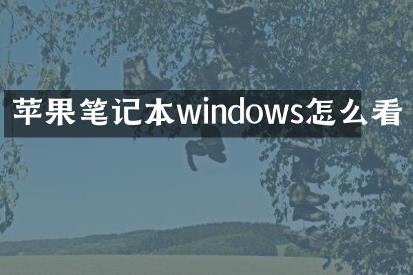 苹果笔记本windows怎么看