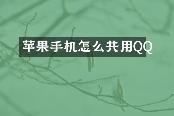 苹果手机怎么共用QQ