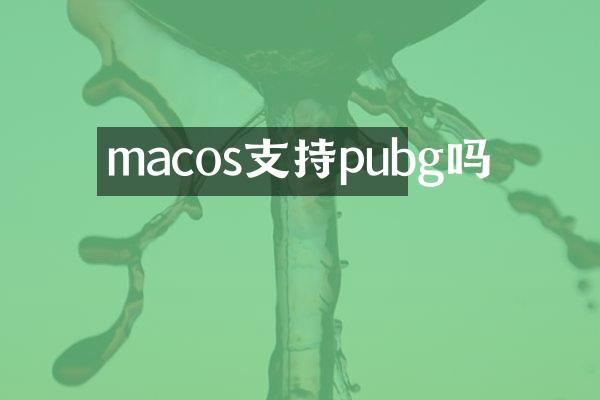 macos支持pubg吗