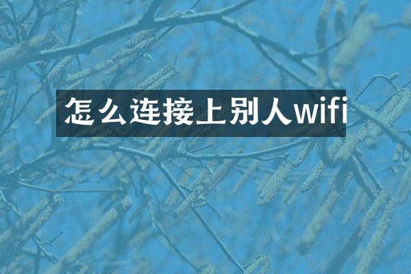 怎么连接上别人wifi