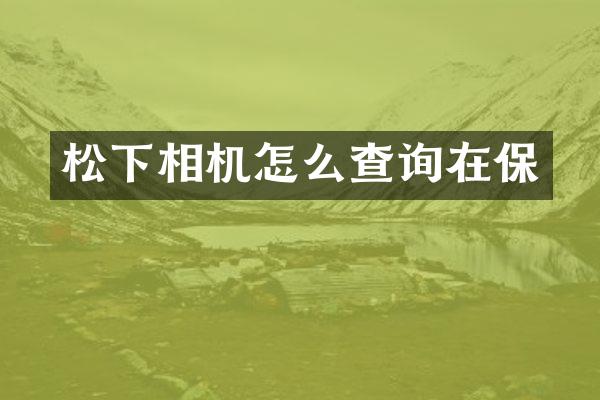 相机怎么查询在保