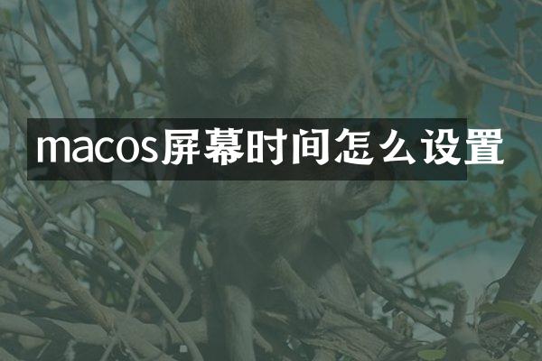 macos屏幕时间怎么设置
