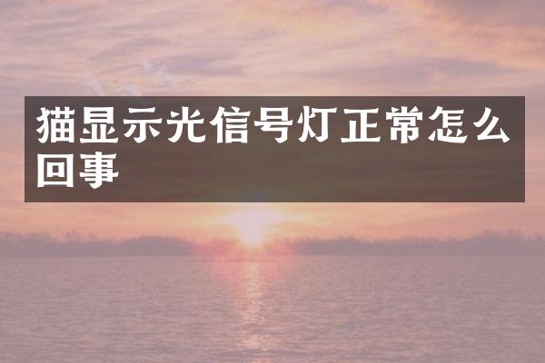猫显示光信号灯正常怎么回事