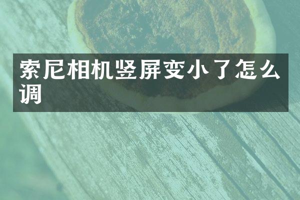 相机竖屏变小了怎么调