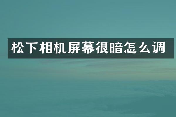 相机屏幕很暗怎么调