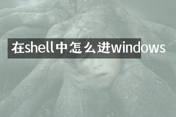 在shell中怎么进windows
