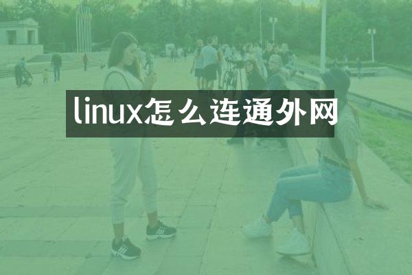 linux怎么连通外网