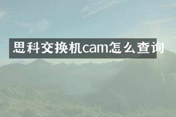 思科交换机cam怎么查询