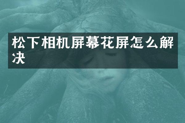 相机屏幕花屏怎么解决