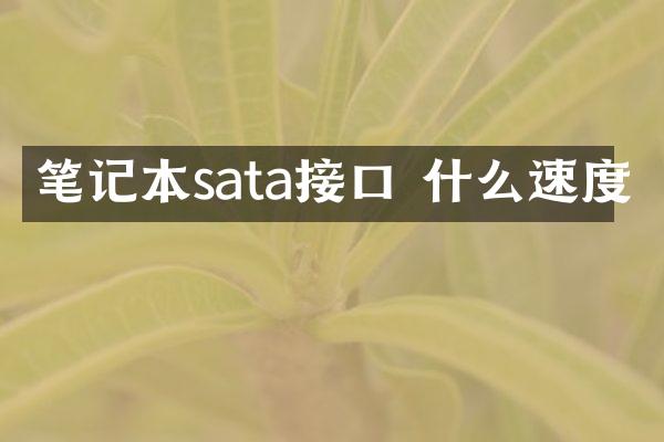 笔记本sata接口 什么速度