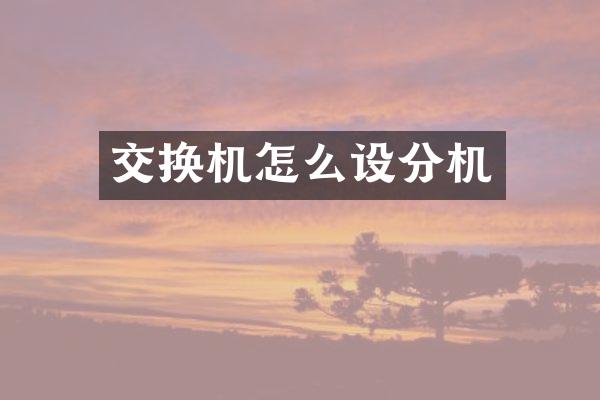 交换机怎么设分机