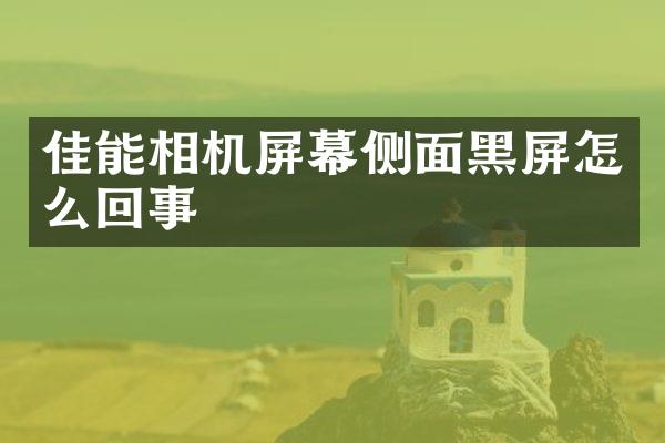 佳能相机屏幕侧面黑屏怎么回事