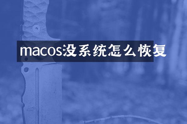 macos没系统怎么恢复