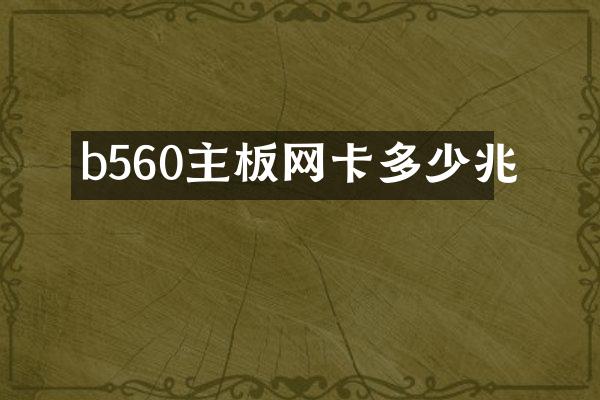 b560主板网卡多少兆