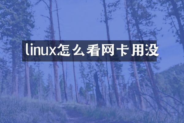 linux怎么看网卡用没