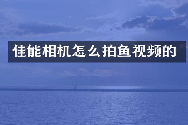 佳能相机怎么拍鱼视频的