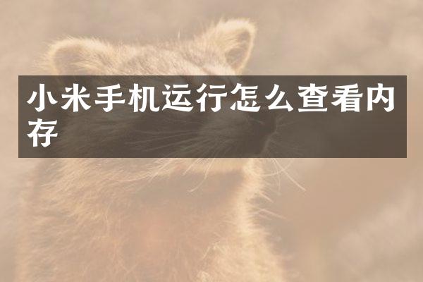 小米手机运行怎么查看内存