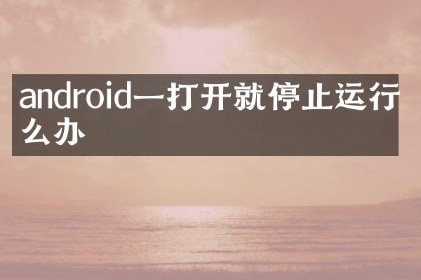 android一打开就停止运行怎么办