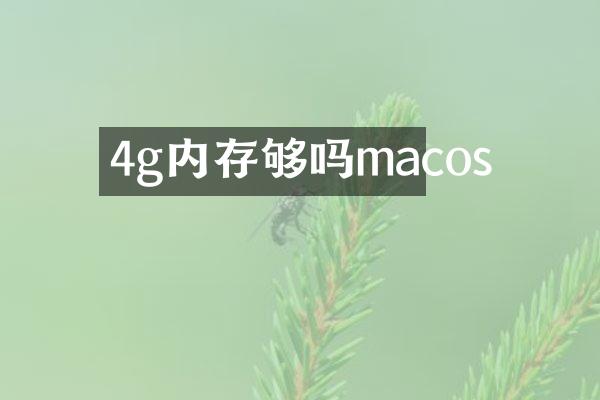 4g内存够吗macos