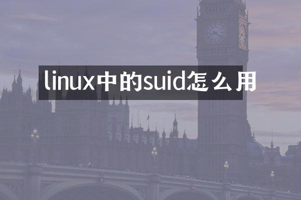 linux中的suid怎么用