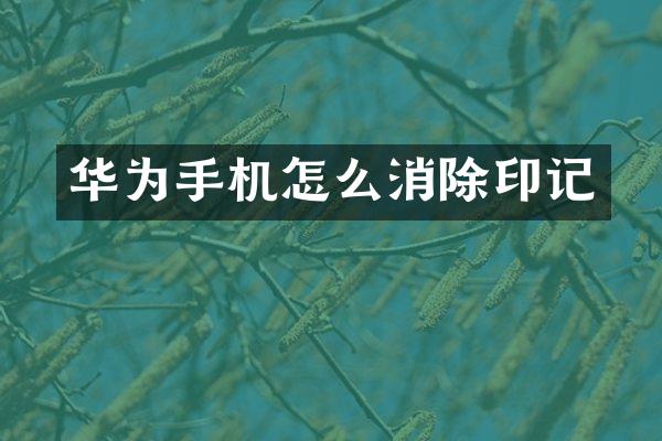 华为手机怎么消除印记