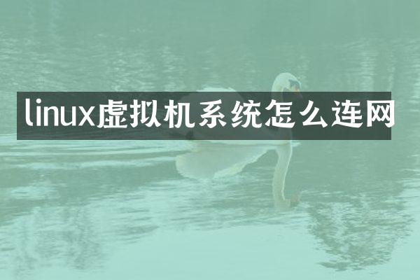 linux虚拟机系统怎么连网