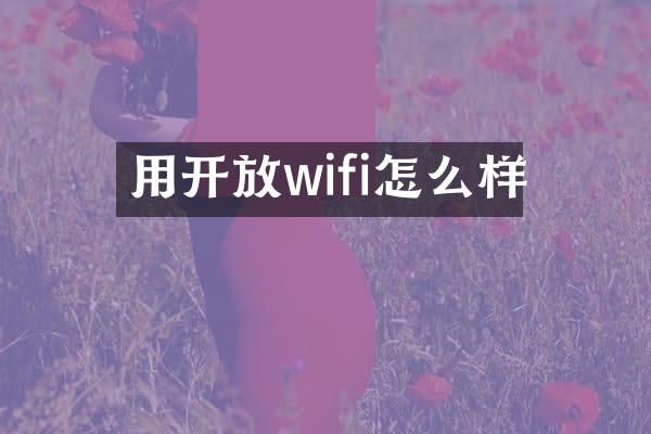 用开放wifi怎么样