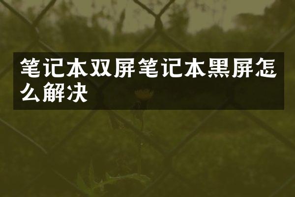 笔记本双屏笔记本黑屏怎么解决
