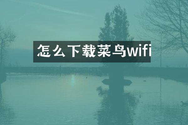 怎么下载菜鸟wifi