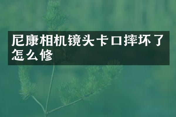 尼康相机镜头卡口摔坏了怎么修