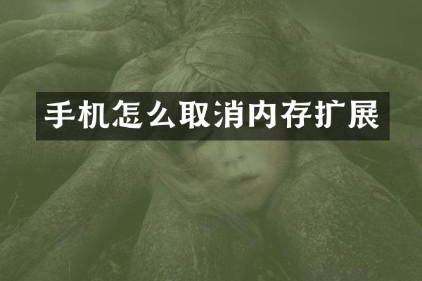手机怎么取消内存扩展