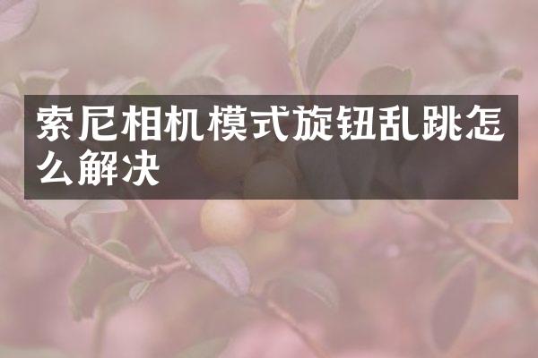 相机模式旋钮乱跳怎么解决