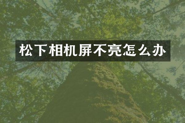 相机屏不亮怎么办