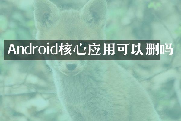 Android核心应用可以删吗