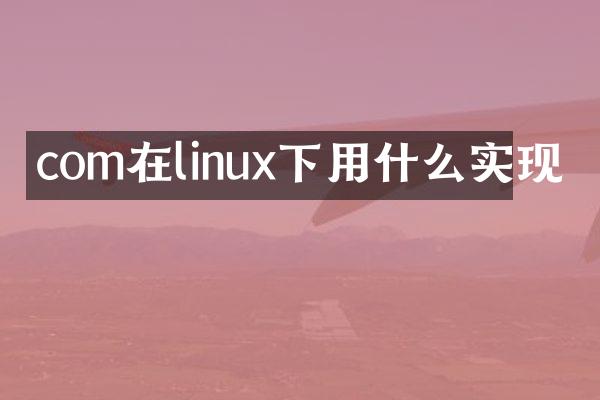 com在linux下用什么实现