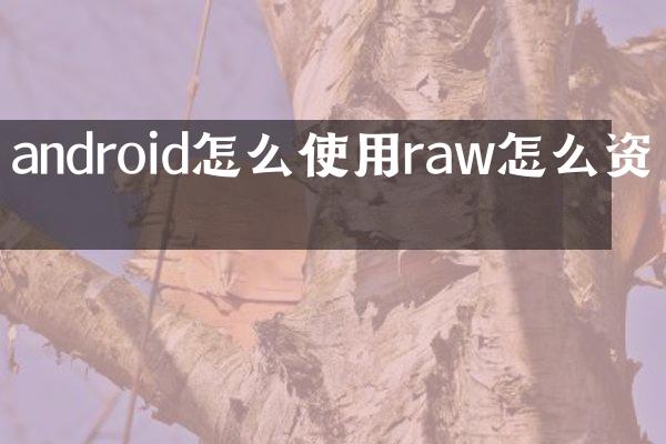 android怎么使用raw怎么资源