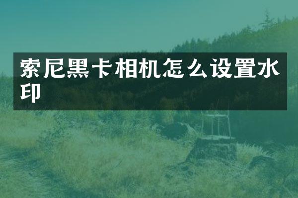 相机怎么设置水印
