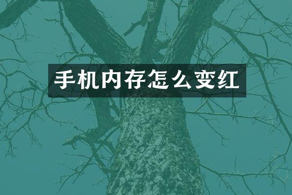 手机内存怎么变红