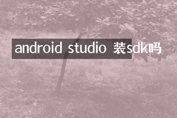 android studio 装sdk吗