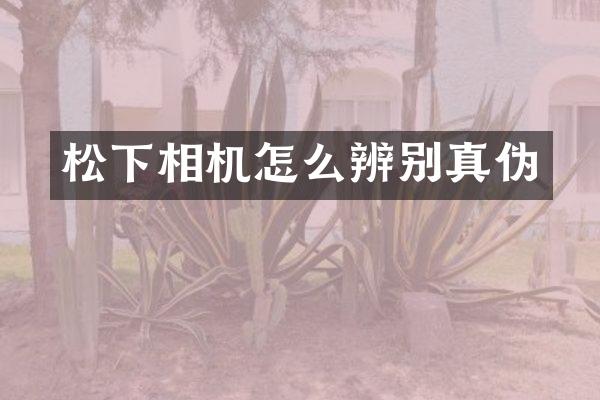 相机怎么辨别真伪