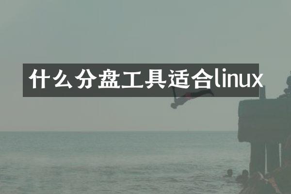 什么分盘工具适合linux