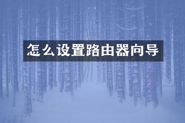怎么设置路由器向导