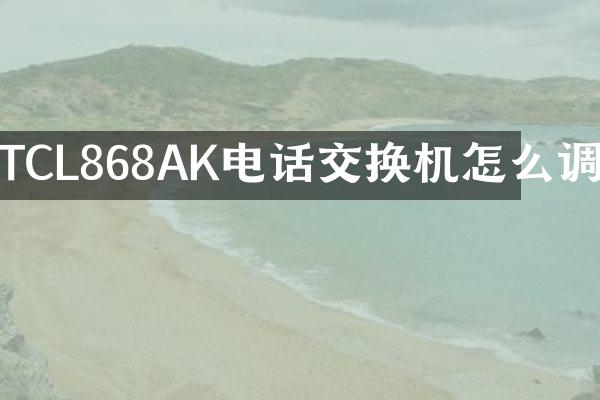TCL868AK电话交换机怎么调