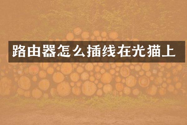 路由器怎么插线在光猫上
