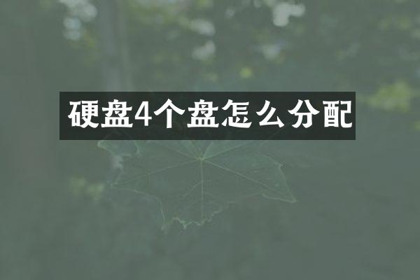 硬盘4个盘怎么分配