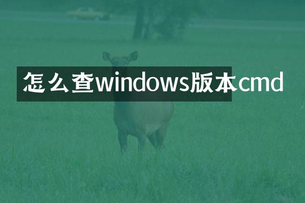 怎么查windows版本cmd