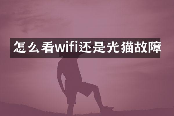 怎么看wifi还是光猫故障